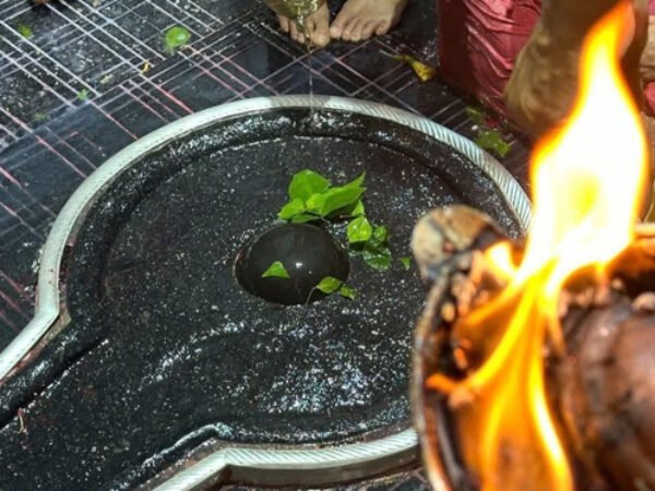 Baidyanath Darshan Package 2 Days (Premium)