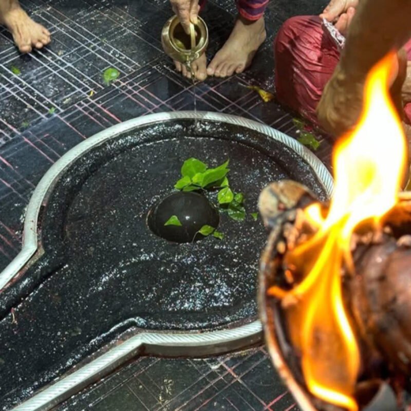 Baidyanath Darshan Package 2 Days (Basic)