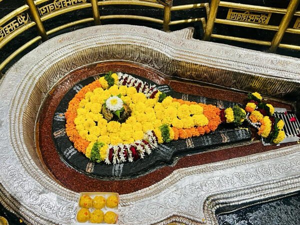 Bhimashankar Darshan Package 1 Day (Premium)