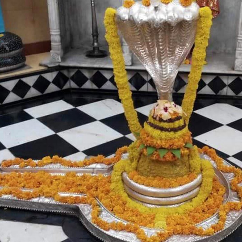 Nageshwar Darshan Package 2 Days (Premium)