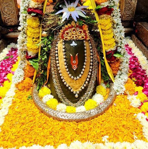 Omkareshwar Darshan Package 2 Days (Basic)