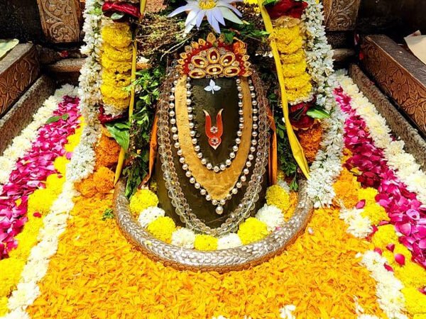 Omkareshwar Darshan Package 2 Days (Premium)