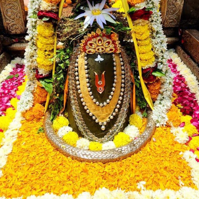 Omkareshwar Darshan Package 2 Days (Basic)